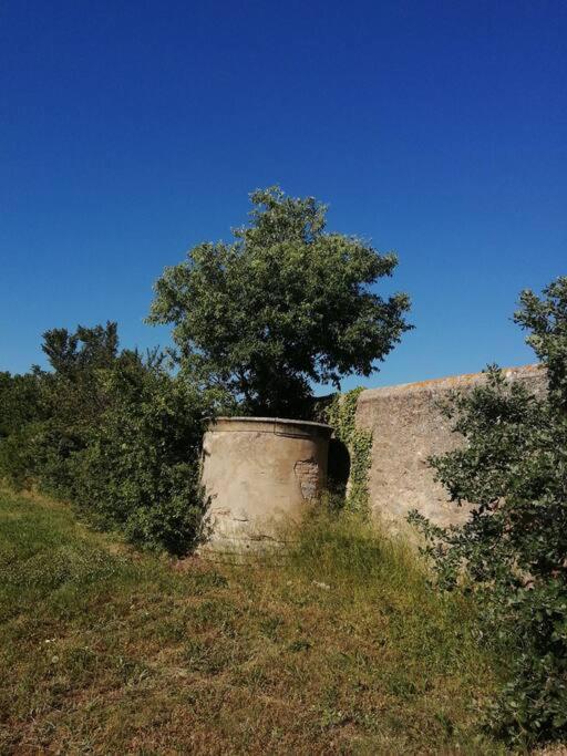 Le Soleil D Eugenie Appartement Dans Residence Avec Piscine Commune Pres De Carcassonne Olonzac Exterior foto