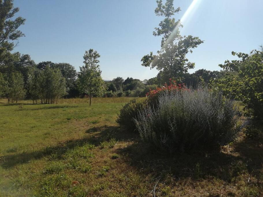 Le Soleil D Eugenie Appartement Dans Residence Avec Piscine Commune Pres De Carcassonne Olonzac Exterior foto