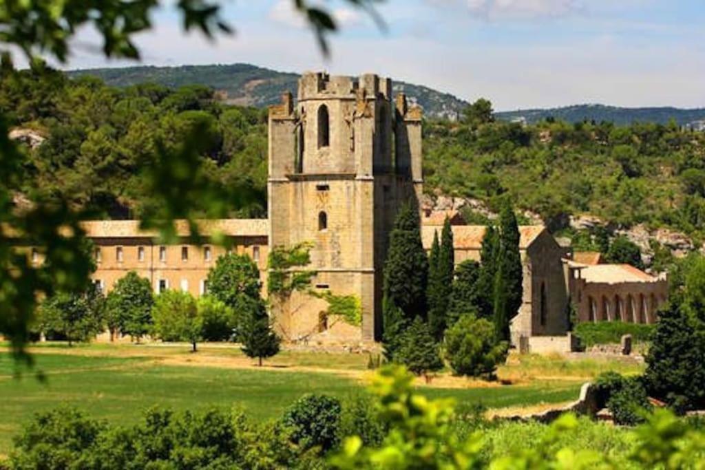 Le Soleil D Eugenie Appartement Dans Residence Avec Piscine Commune Pres De Carcassonne Olonzac Exterior foto