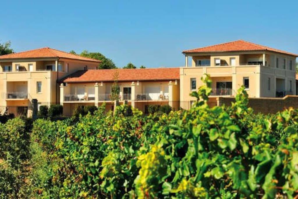 Le Soleil D Eugenie Appartement Dans Residence Avec Piscine Commune Pres De Carcassonne Olonzac Exterior foto