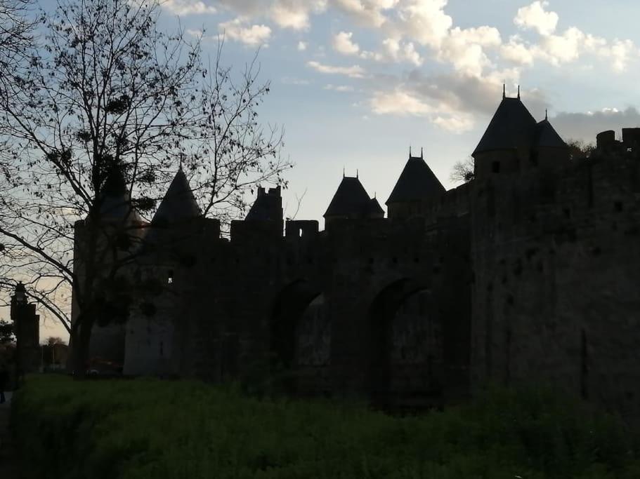 Le Soleil D Eugenie Appartement Dans Residence Avec Piscine Commune Pres De Carcassonne Olonzac Exterior foto