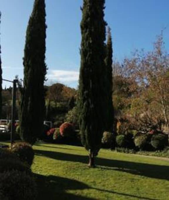 Le Soleil D Eugenie Appartement Dans Residence Avec Piscine Commune Pres De Carcassonne Olonzac Exterior foto