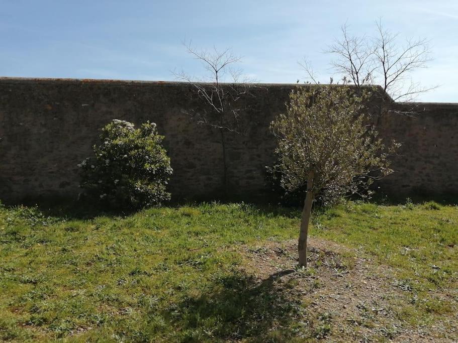 Le Soleil D Eugenie Appartement Dans Residence Avec Piscine Commune Pres De Carcassonne Olonzac Exterior foto